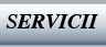 transport intern si international